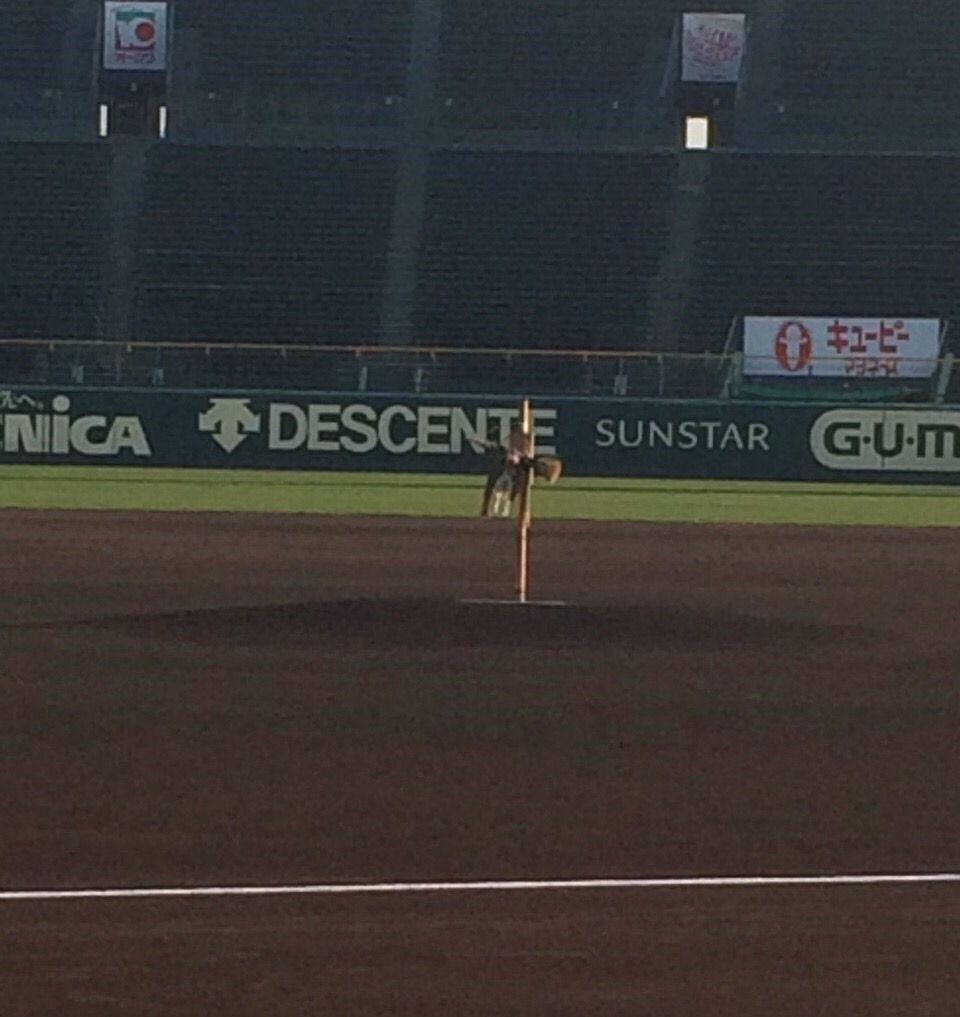日本棒球場